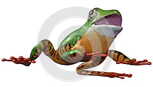 3D Rendering Amazon Tree Frog on White