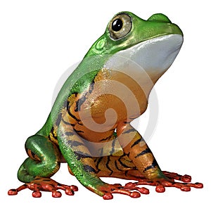 3D Rendering Amazon Tree Frog on White