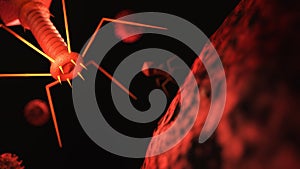 3D rendering bacteriophage flu virus micro organism cell under microscope, coronavirus disease, COVID-19, 8K