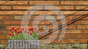 3d rendering of beautiful tulip flower