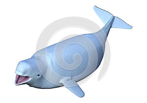 3D Rendering Beluga White Whale on White