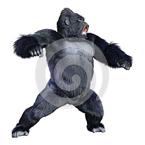 3D Rendering Black Gorilla Ape on White