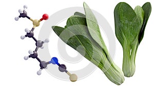 3d rendering of bok choy and sulforaphane molecule