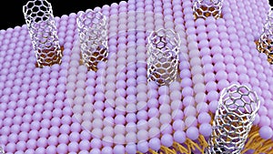 3D rendering of isolated of carbon nanotube porins photo