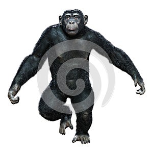 3D Rendering Chimpanzee on White