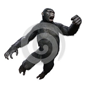 3D Rendering Chimpanzee on White