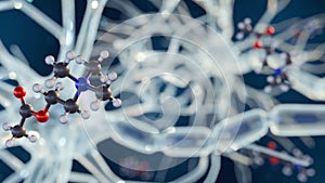 The Acetylcholine molecule with neuron or nerve cell.