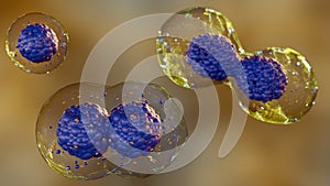 3d rendering of close up view of stem cells division