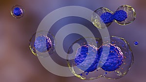 3d rendering of close up view of stem cells division