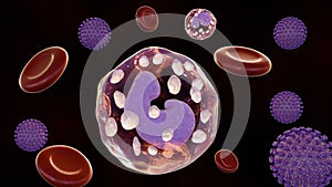 3d rendering of CMV or cytomegalovirus with erythrocytes and leukocytes photo