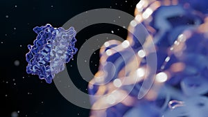 3D rendering of complex leptin protein molecular structures