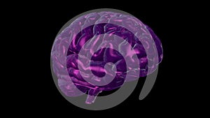 3D rendering of computer model of human brain and artificial intelligence concept