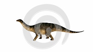 3D Illustration of a Sauropod Dinosaur in a Natural Pose on Isolated Background photo