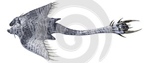 3D Rendering Devil Ray on White