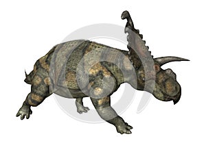 3D Rendering Dinosaur Albertaceratops on White