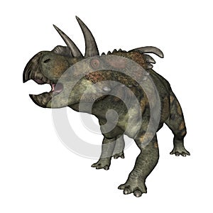 3D Rendering Dinosaur Albertaceratops on White