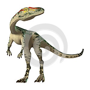 3D Rendering Dinosaur Coelophysis on White