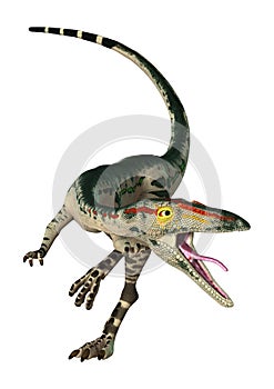 3D Rendering Dinosaur Coelophysis on White