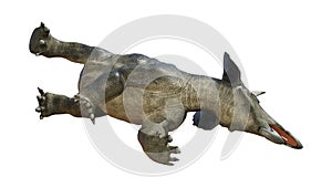 3D Rendering Dinosaur Diceratops on White