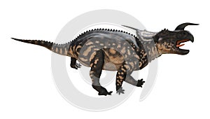 3D Rendering Dinosaur Einiosaurus on White