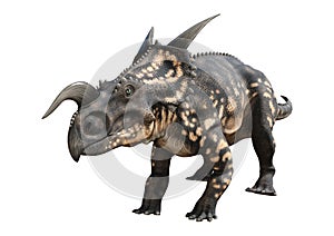 3D Rendering Dinosaur Einiosaurus on White