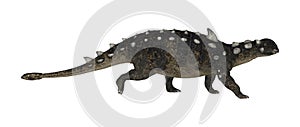 3D Rendering Dinosaur Euoplocephalus on White