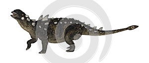 3D Rendering Dinosaur Euoplocephalus on White