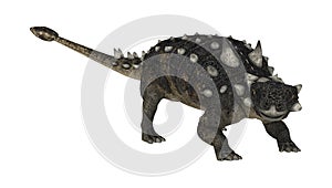 3D Rendering Dinosaur Euoplocephalus on White
