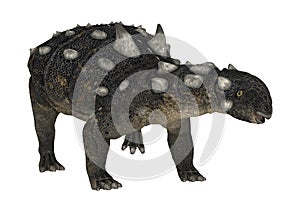 3D Rendering Dinosaur Euoplocephalus on White