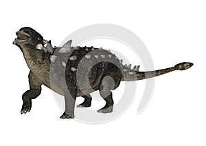 3D Rendering Dinosaur Euoplocephalus on White