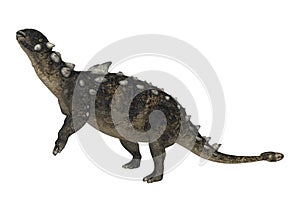 3D Rendering Dinosaur Euoplocephalus on White