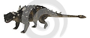 3D Rendering Dinosaur Euoplocephalus on White