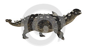 3D Rendering Dinosaur Euoplocephalus on White