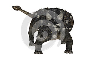 3D Rendering Dinosaur Euoplocephalus on White
