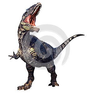 3D Rendering Dinosaur Gigantosaurus on White