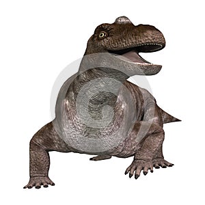 3D Rendering Dinosaur Keratocephalus on White