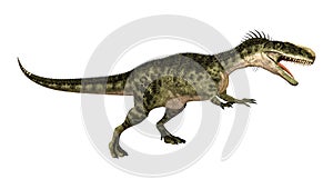 3D Rendering Dinosaur Monolophosaurus on White