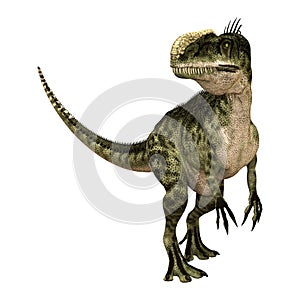 3D Rendering Dinosaur Monolophosaurus on White