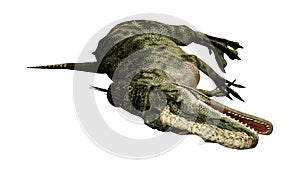 3D Rendering Dinosaur Monolophosaurus on White