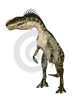 3D Rendering Dinosaur Monolophosaurus on White