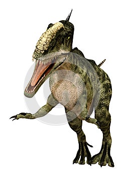 3D Rendering Dinosaur Monolophosaurus on White