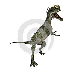 3D Rendering Dinosaur Monolophosaurus on White