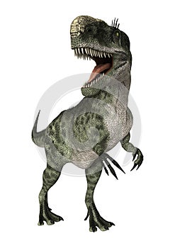 3D Rendering Dinosaur Monolophosaurus on White