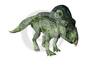3D Rendering Dinosaur Protoceratops on White