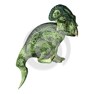 3D Rendering Dinosaur Protoceratops on White