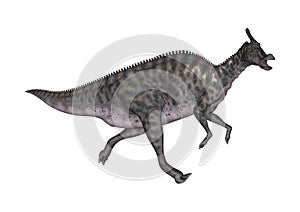 3D Rendering Dinosaur Saurolophus on White