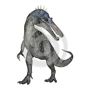 3D Rendering Dinosaur Suchomimus on White
