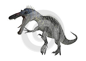 3D Rendering Dinosaur Suchomimus on White