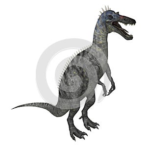 3D Rendering Dinosaur Suchomimus on White