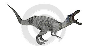 3D Rendering Dinosaur Suchomimus on White